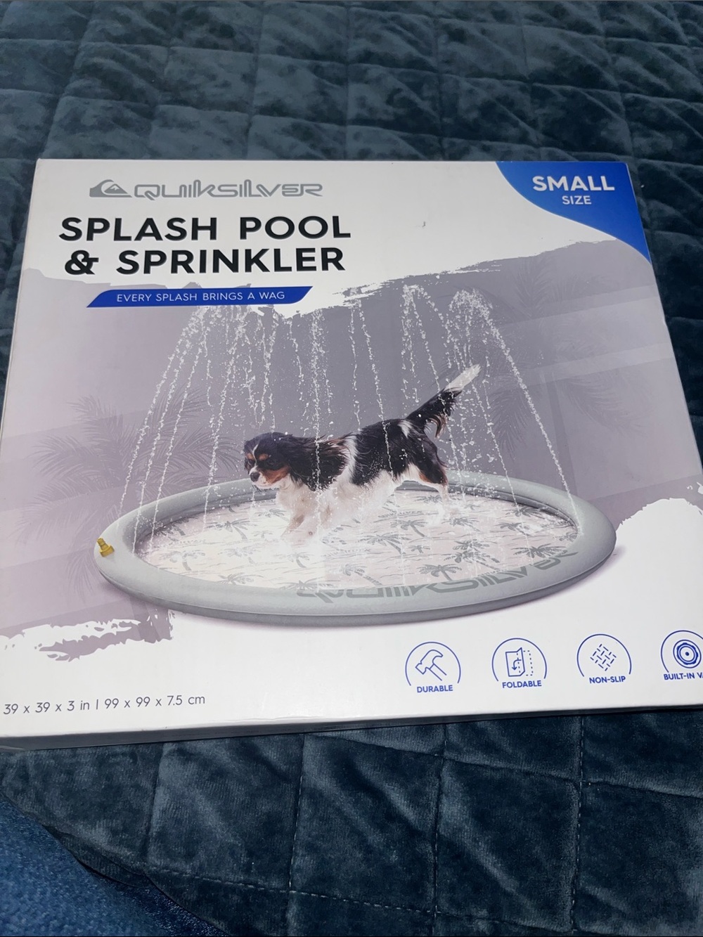 Quiksilver Gray Splash Pool & Sprinkler for Small Pets